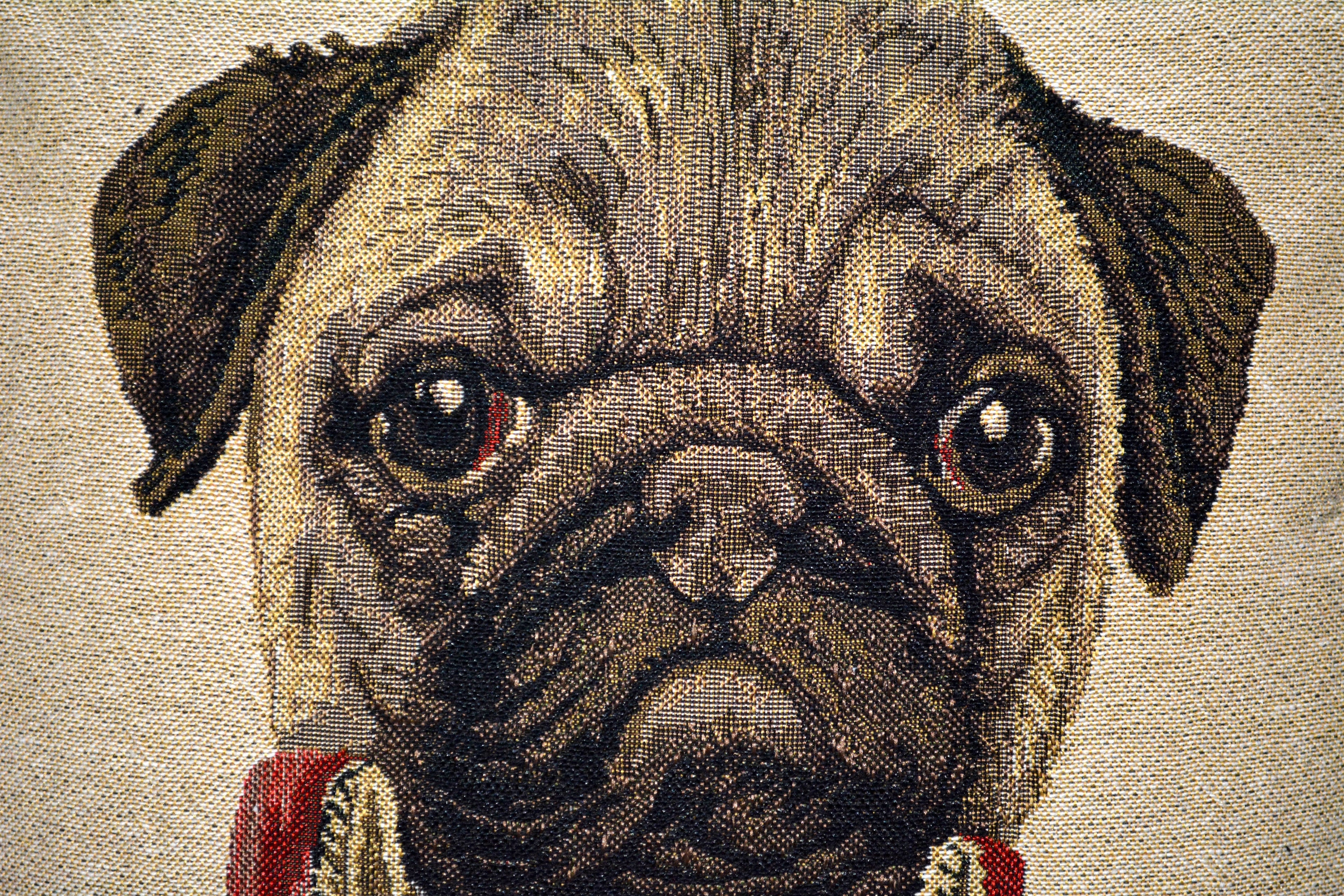 Tache Napoleon Bowaparte Vintage Tapestry Throw Pillow Cover (CC-6011)